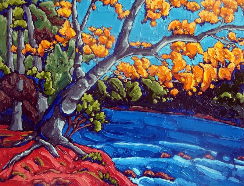 Tree by Riverbank