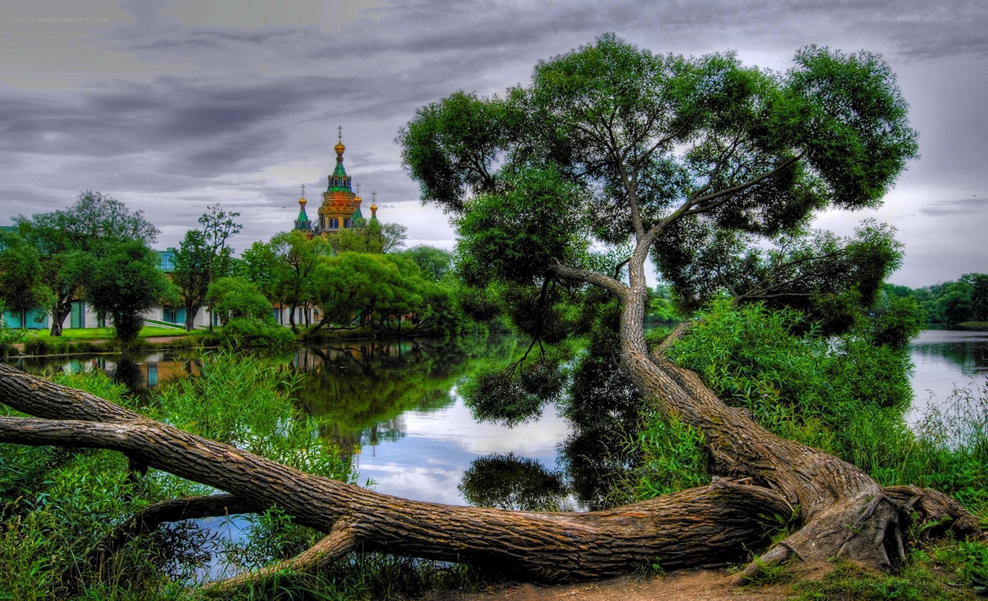 Tree by the river with church