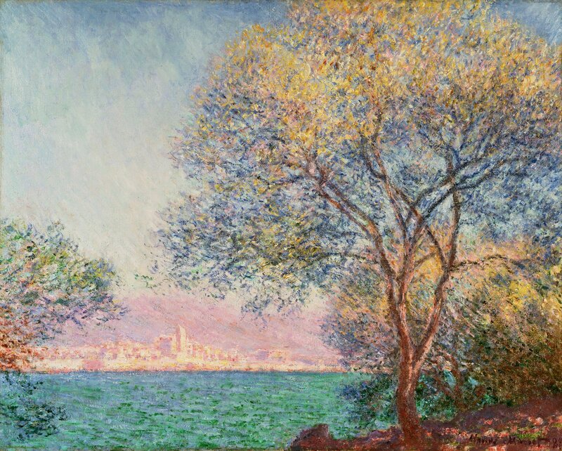 Tree by the Water