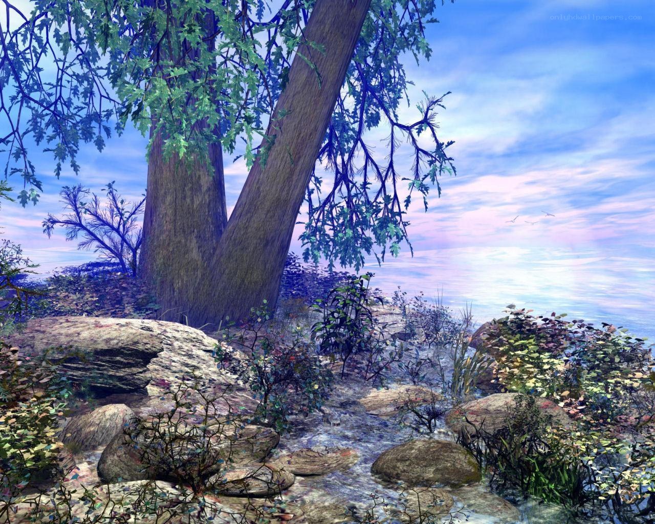Tree by the water's edge