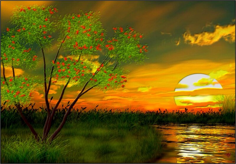 Tree by Water at Sunset — Orange