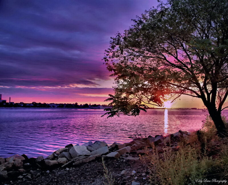Tree by Water at Sunset