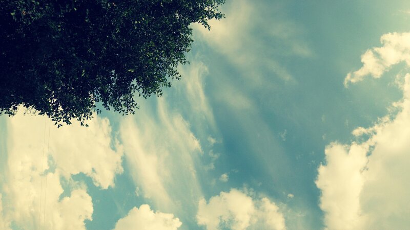 Tree Canopy and Clouds