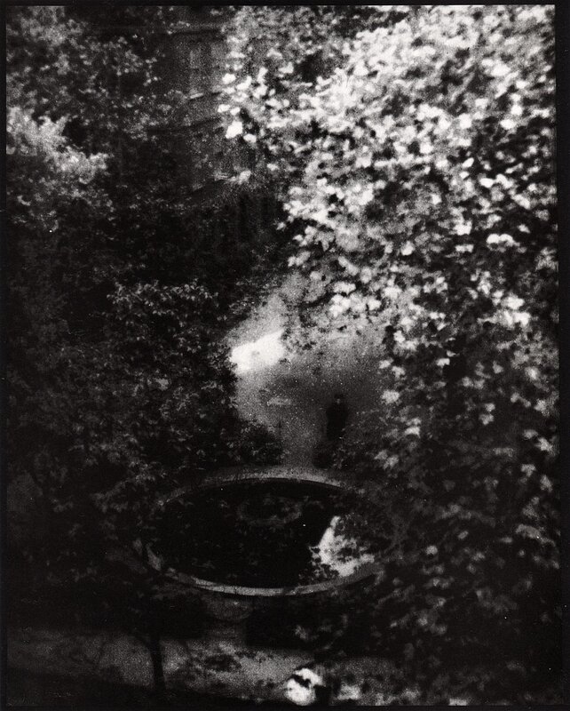 Tree canopy view of fountain