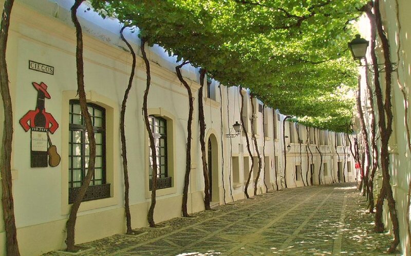 Tree-covered Alleyway