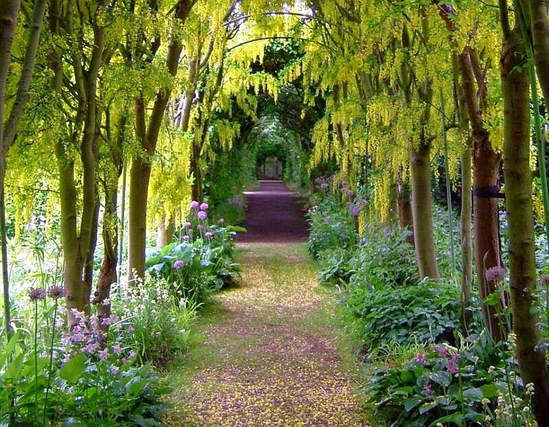 Tree-covered Garden Path