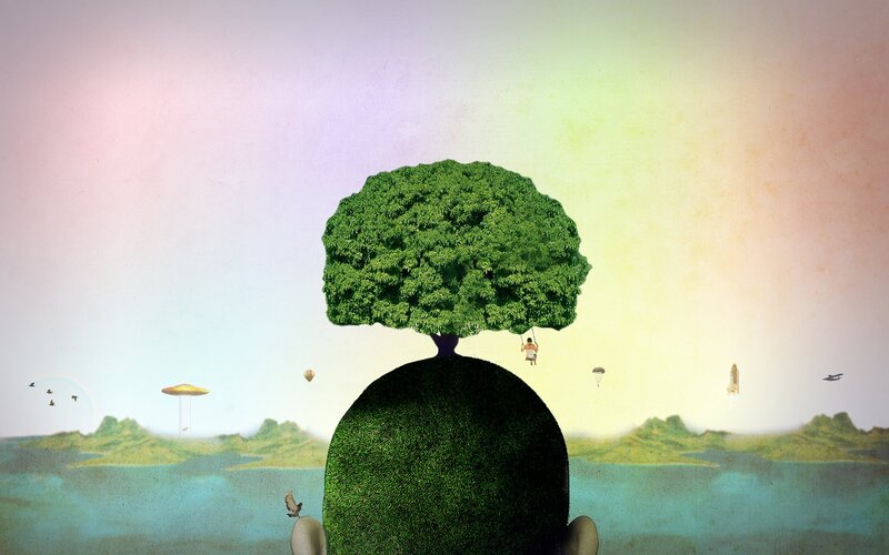 Tree-covered Head