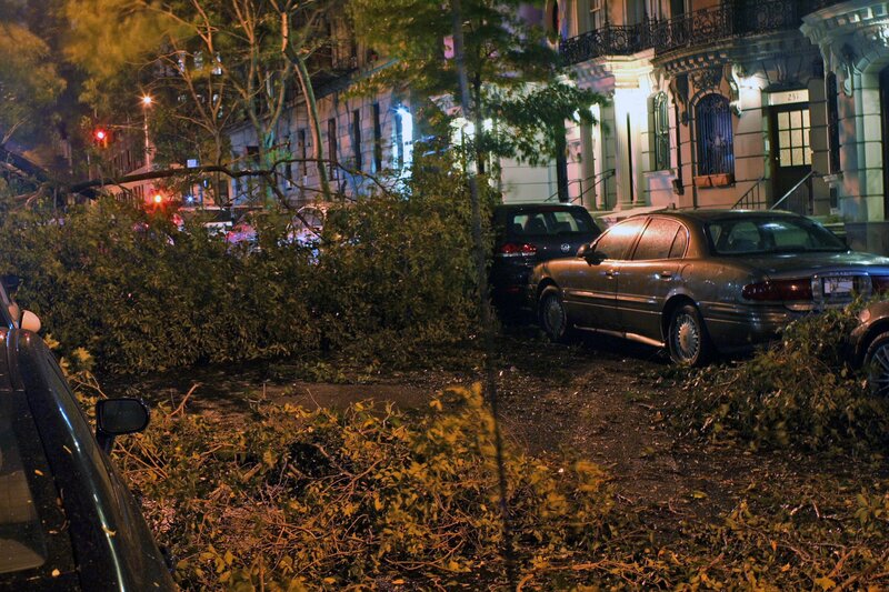 Tree down on street at night