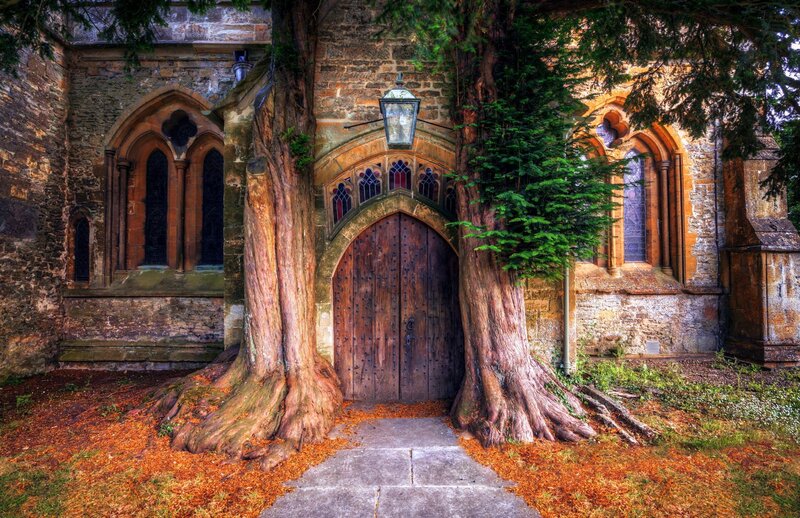 Tree-encased Church Door
