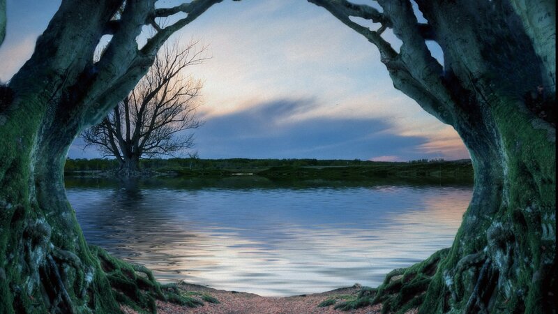 Tree Framing Lake View