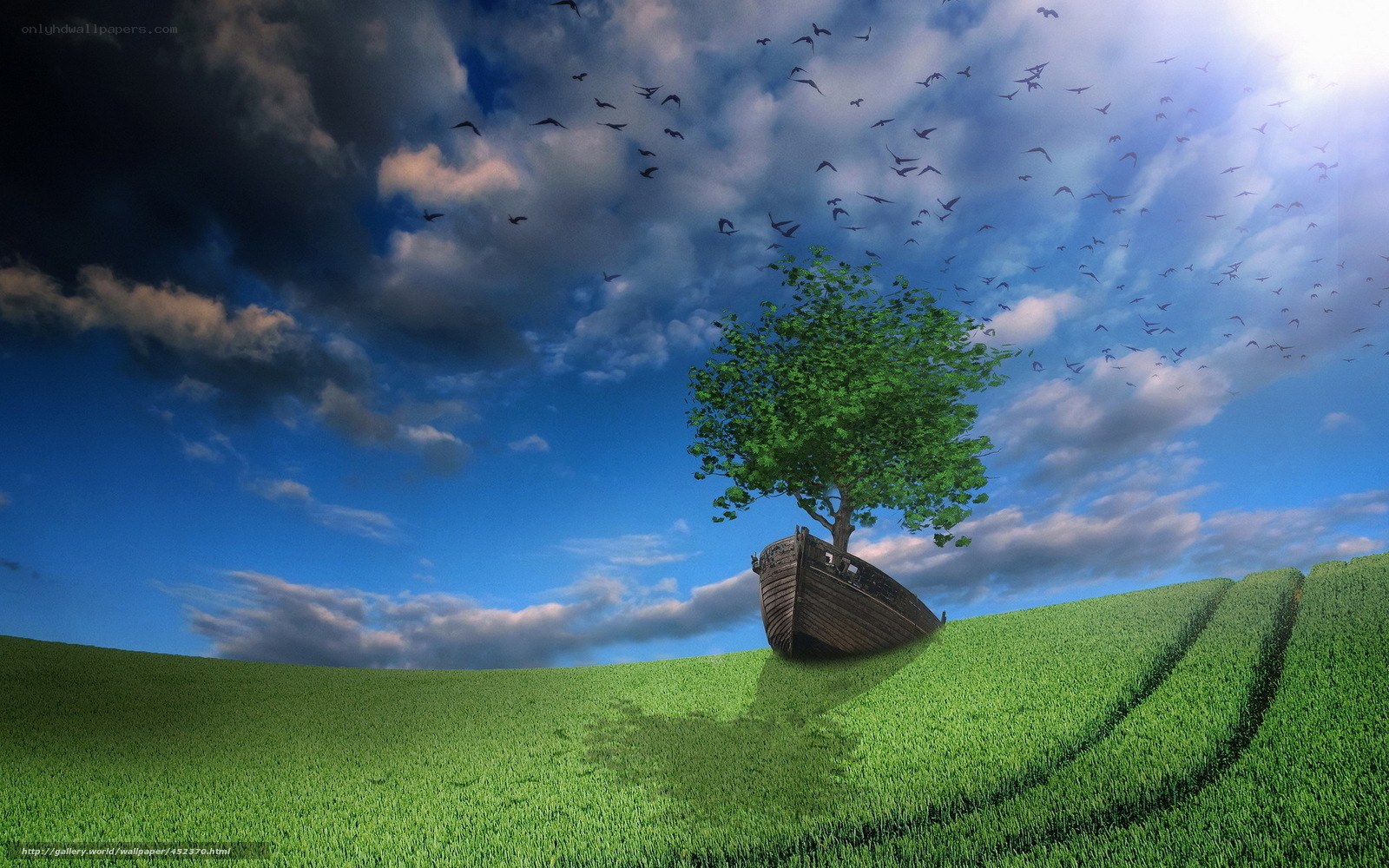 Tree growing from boat on green hill