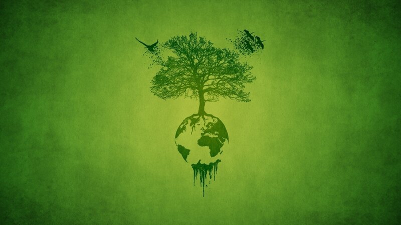 tree growing from earth