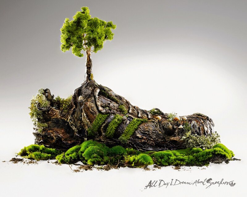 Tree Growing from Sneaker