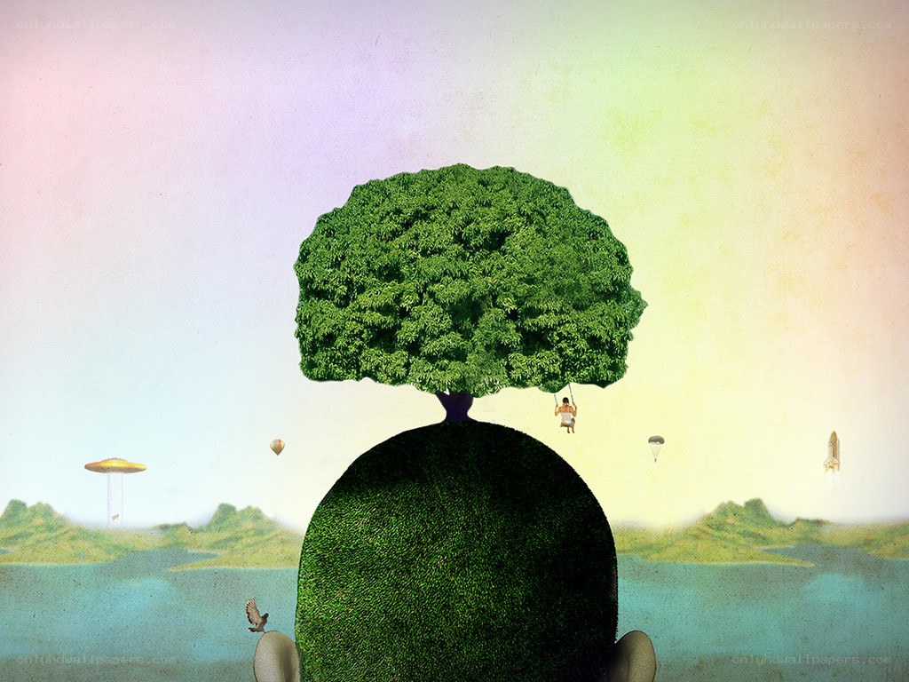 tree growing on a head