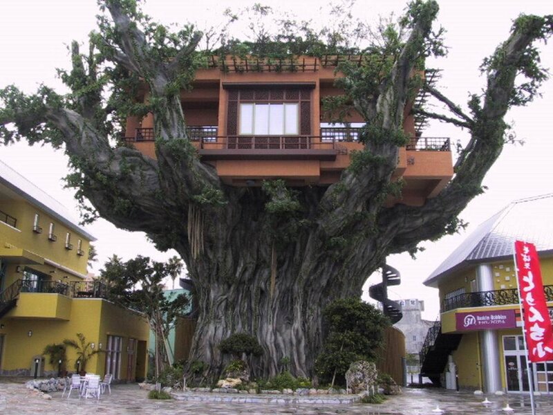 Tree house building in Japan