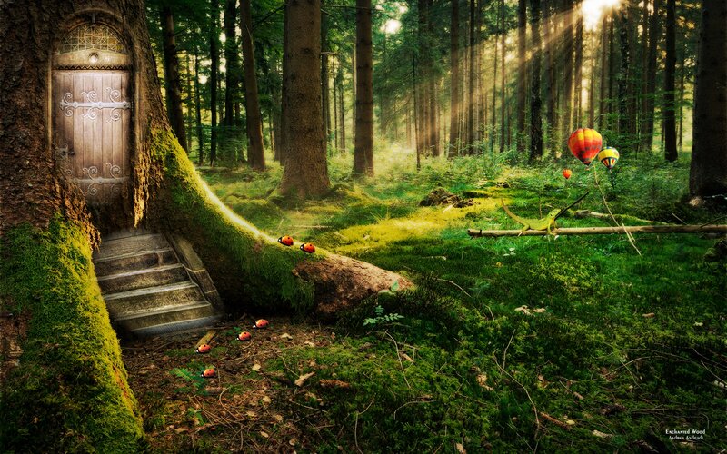 Tree House Door in Forest — Green