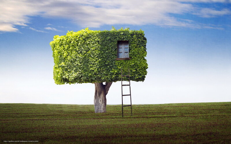tree house in a field