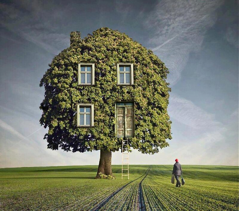 Tree House in Field