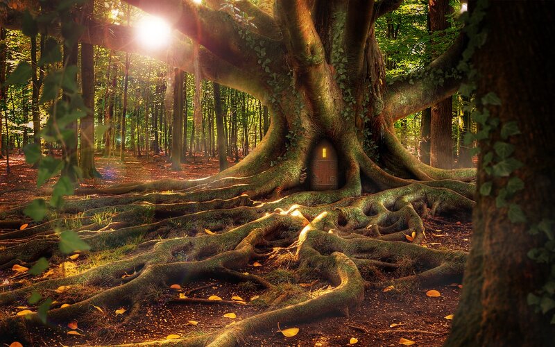 Tree House in Forest — Green, Serene