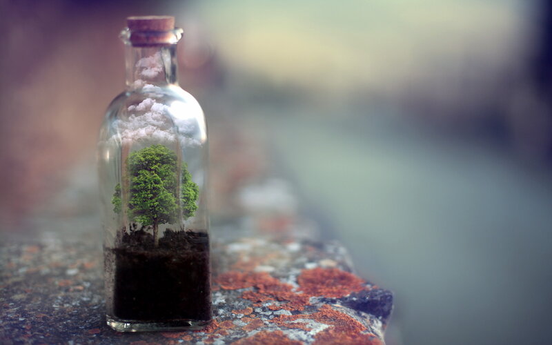 Tree in a Bottle — Green