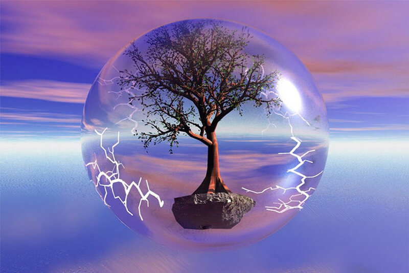 Tree in a Bubble