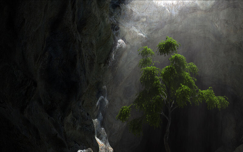 Tree in a Cave