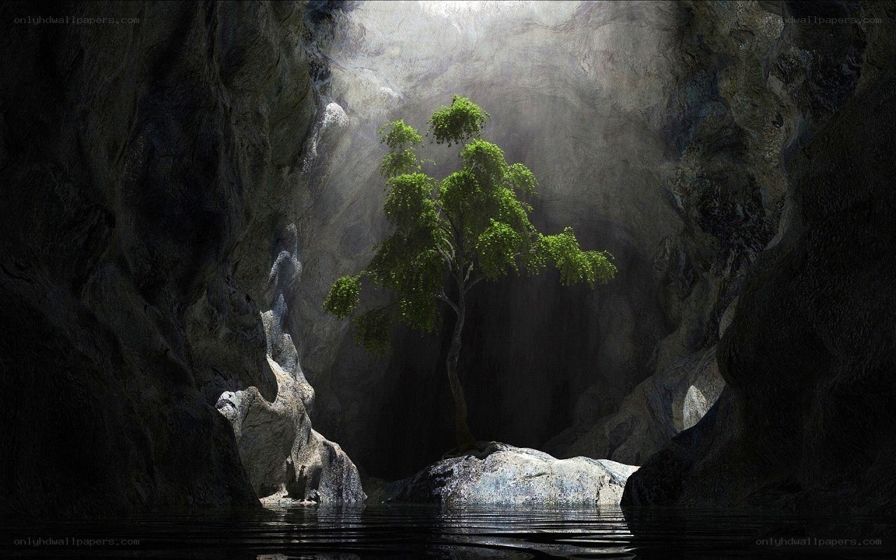 Tree in a cave with light