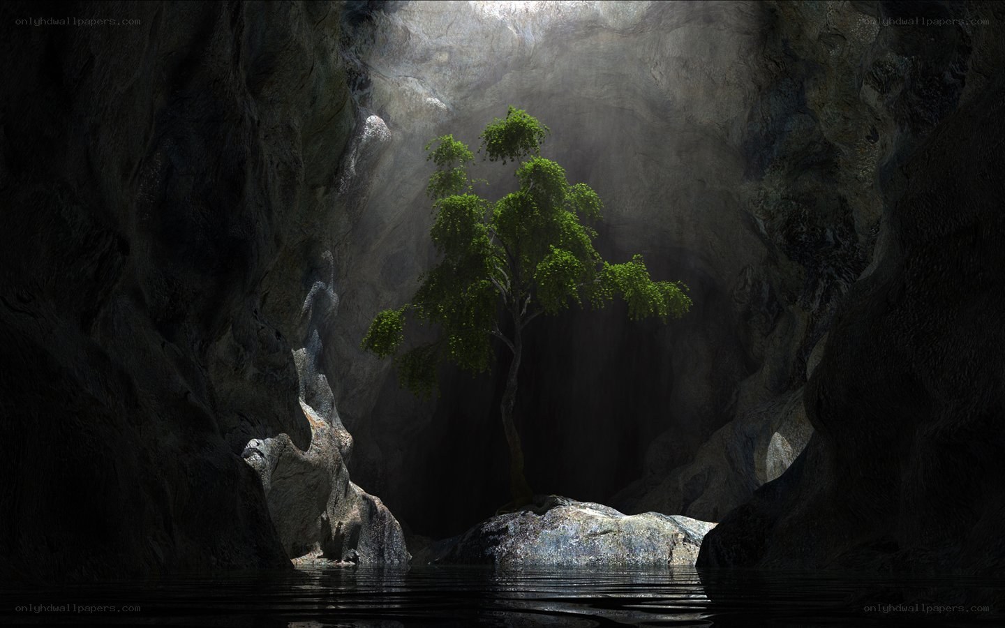 Tree in a cave with light