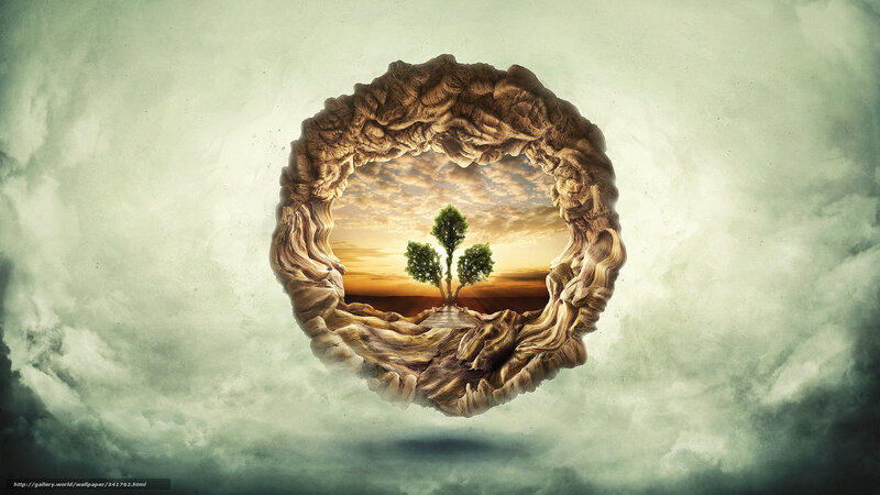 Tree in a circular frame