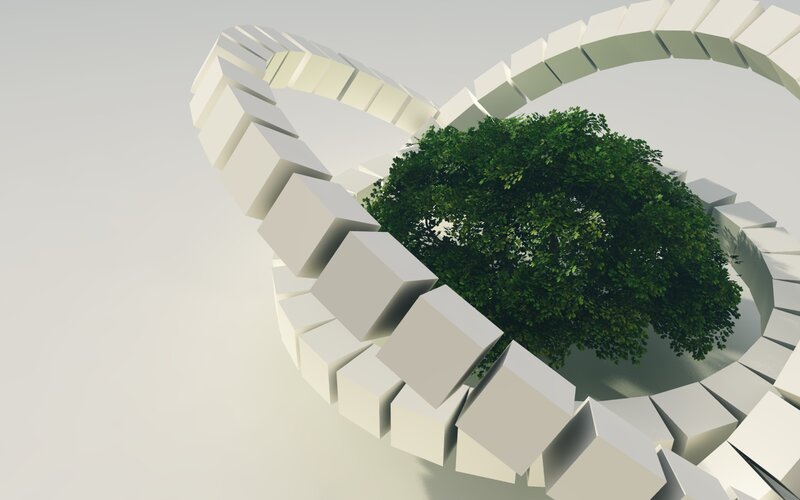 Tree in a cube ring