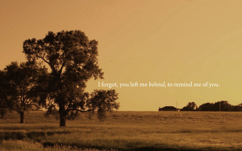 Tree in a field at sunset