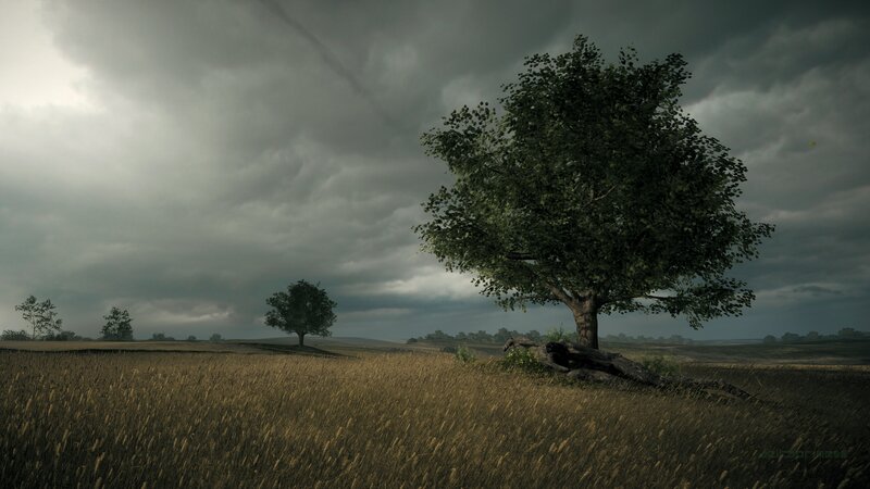 Tree in a Field — Gray