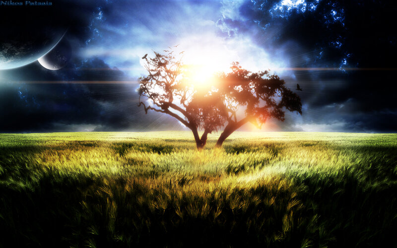 Tree in a Field — Green, Dramatic, Sunset