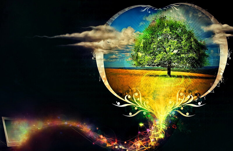 Tree in a Field — Green, Dreamy