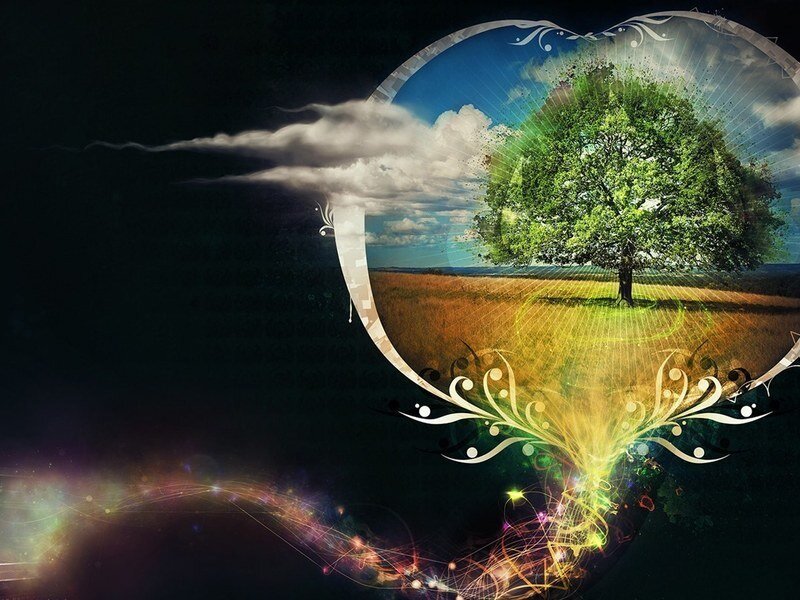 Tree in a Field