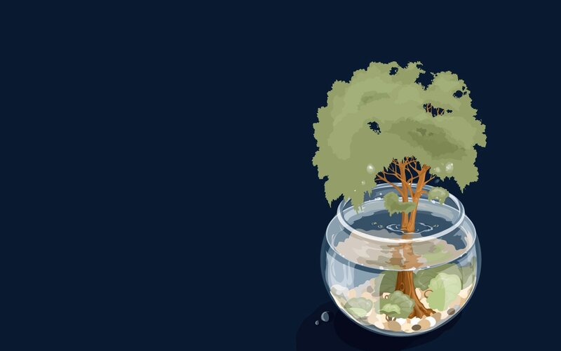tree in a fishbowl