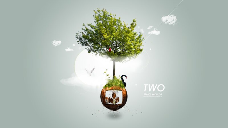 Tree in a Floating Ring