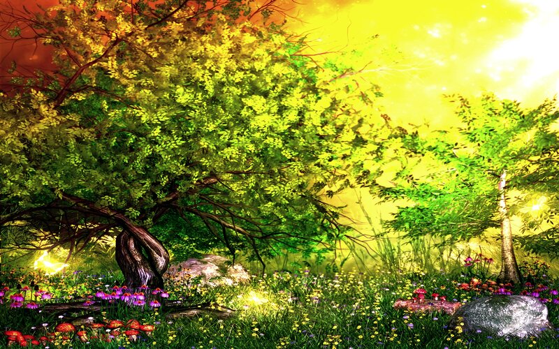 Tree in a Flower Field