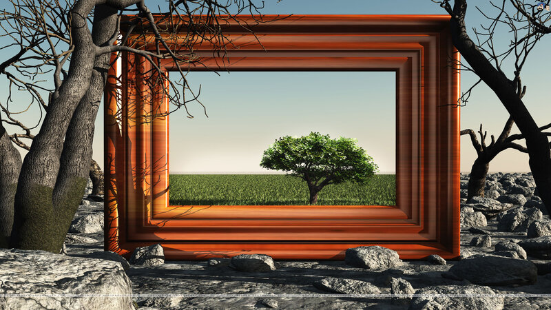 Tree in a Frame