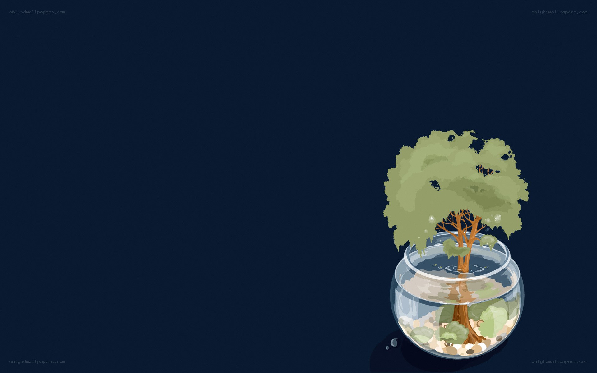 tree in a glass bowl