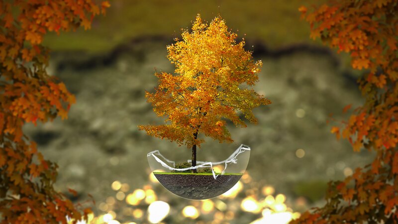 Tree in a Glass Bowl — Orange