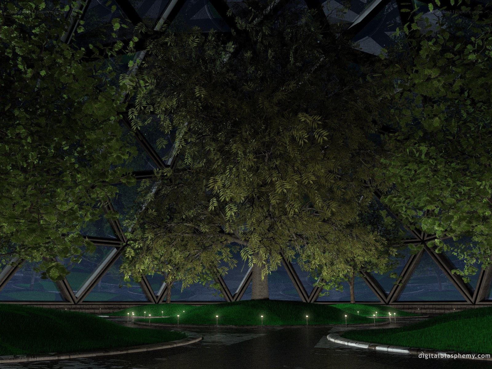 Tree in a glass dome at night