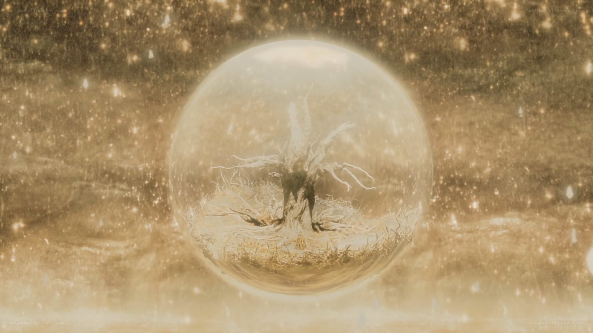 tree in a glass sphere