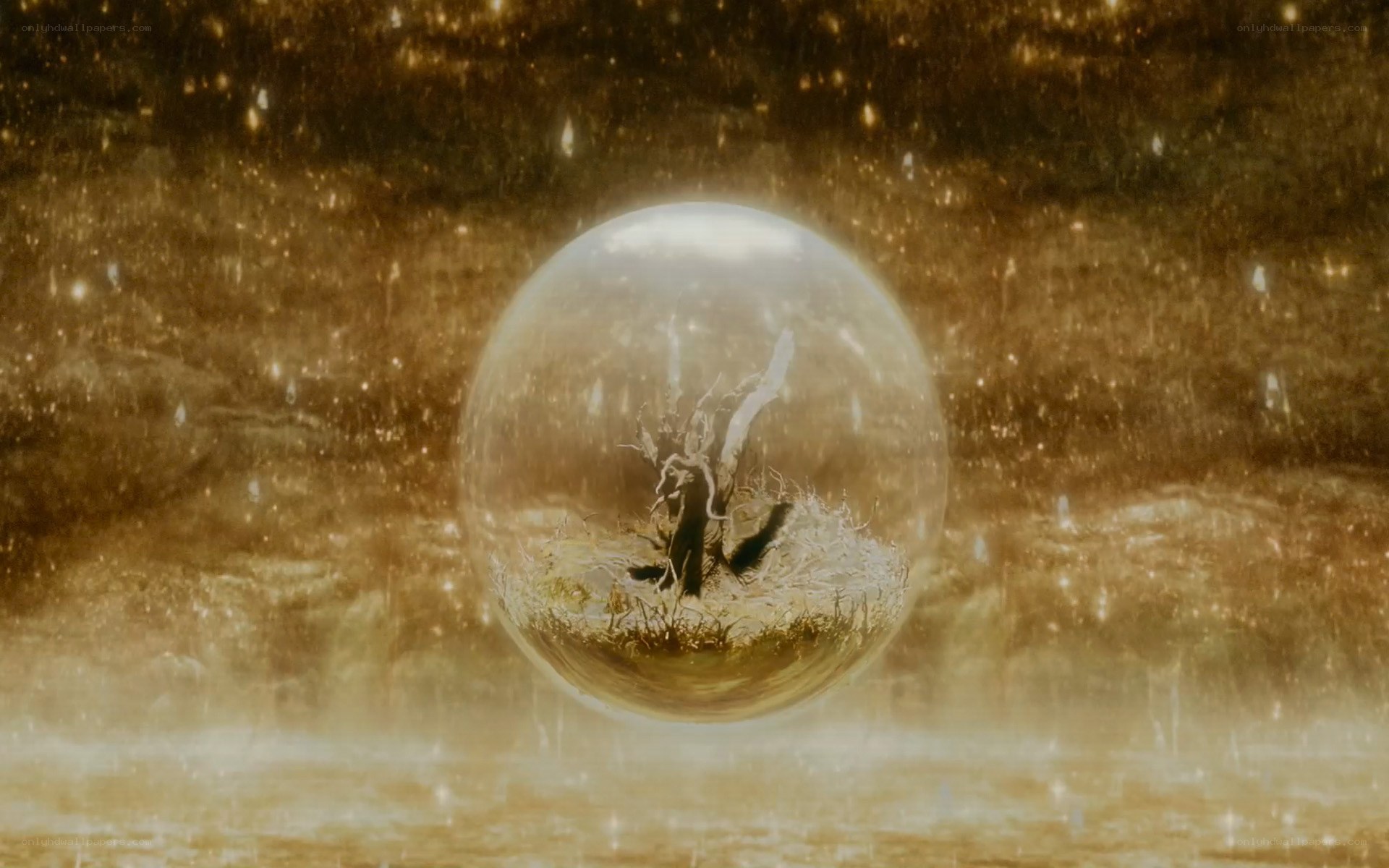 tree in a glass sphere