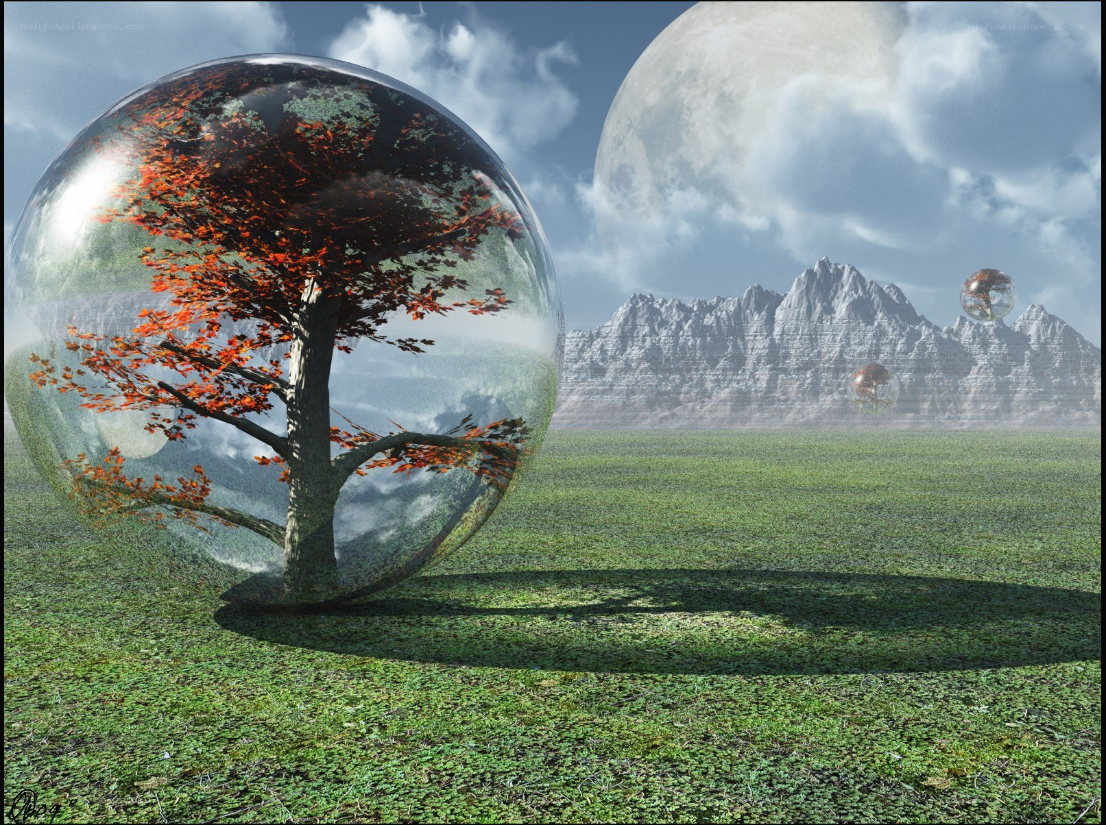 Tree in a glass sphere