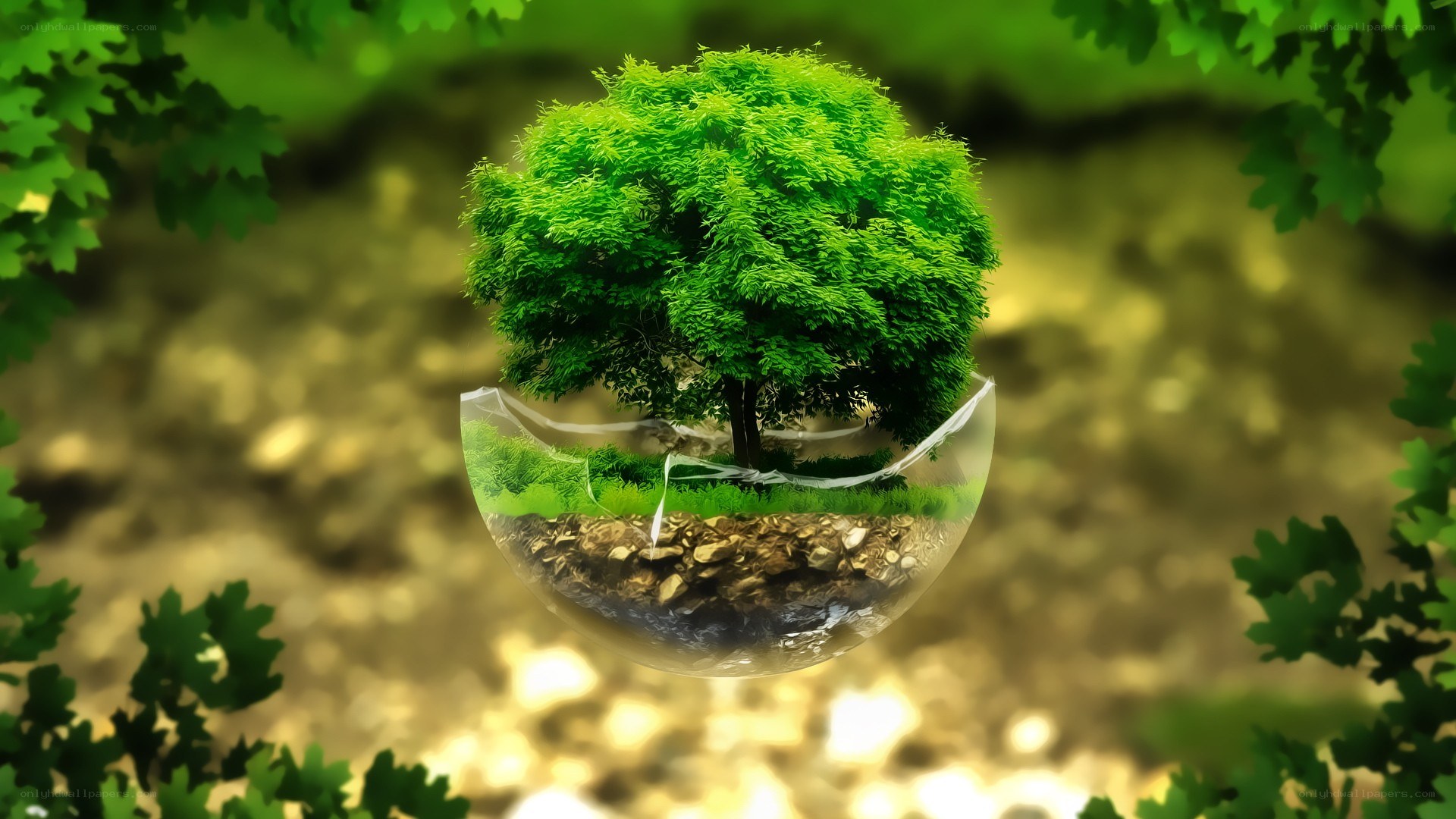 tree in a glass sphere
