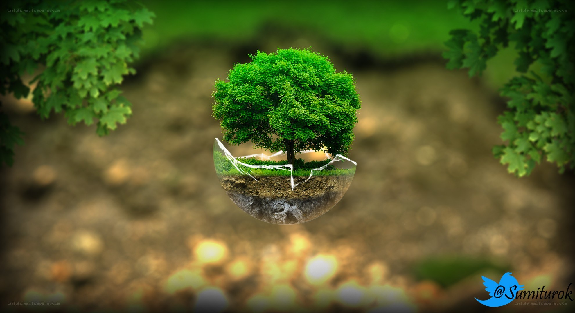 Tree in a glass sphere