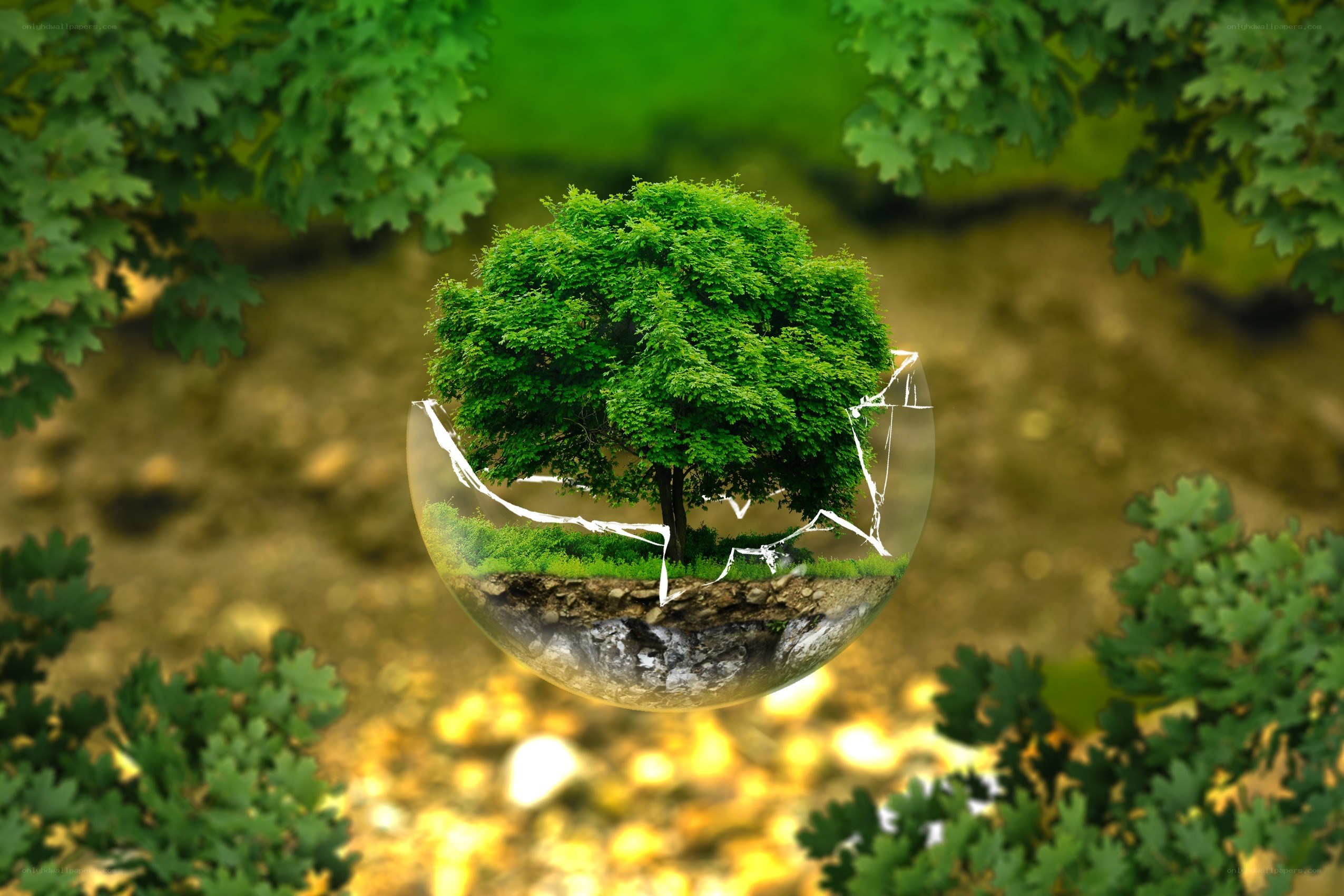 tree in a glass sphere