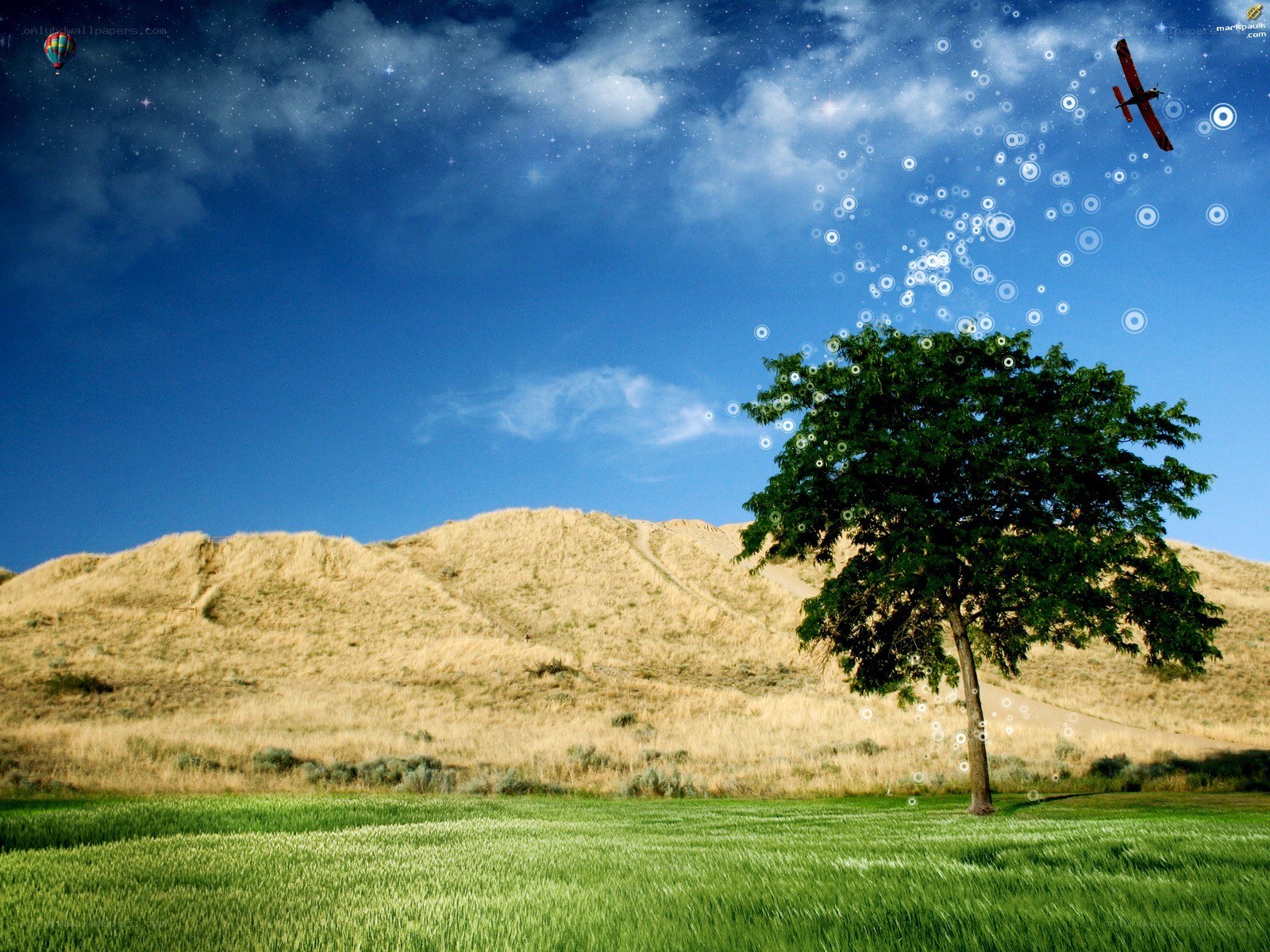 Tree in a green field