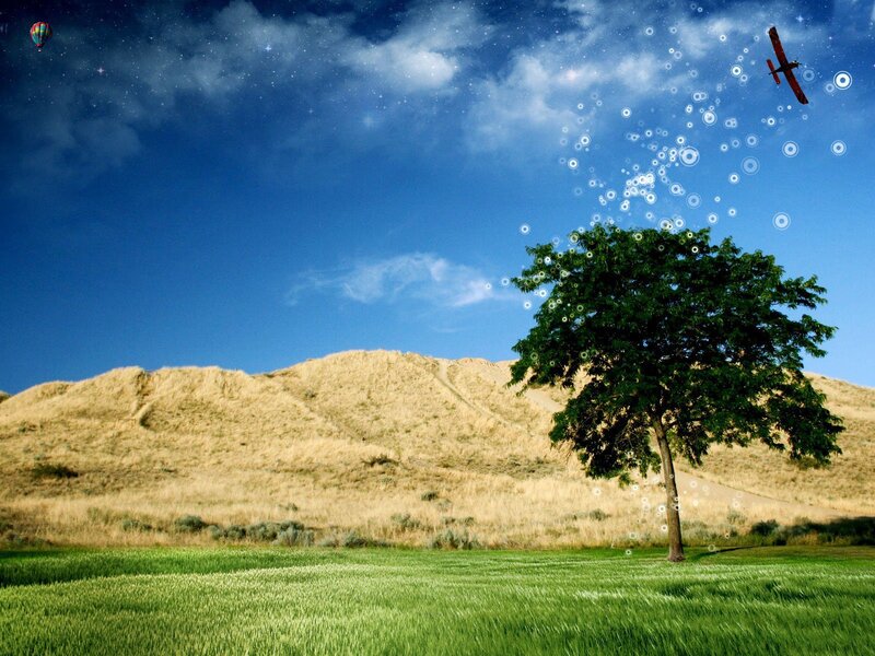 Tree in a green field